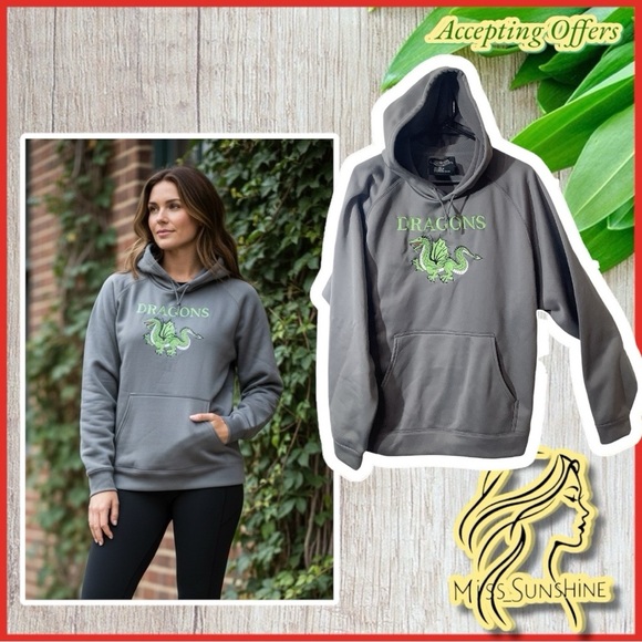 Charles River Apparel Other - DRAGONS Hoodie - NEW - Sz L - grey green spirit wear